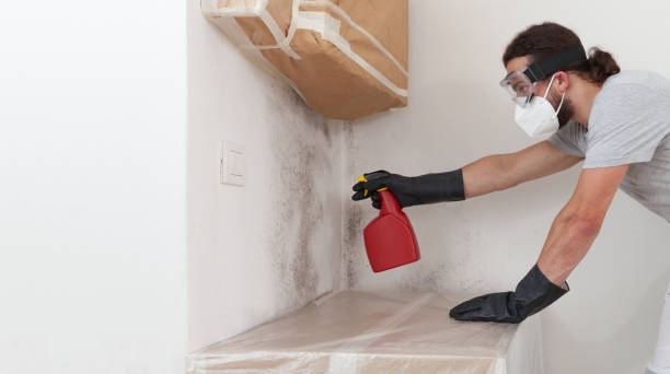 Professional Mold Removal technician working in Skokie, IL